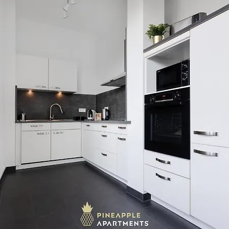 Apartament Pineapple Penthouse Am Zwinger - 162 Qm - 1x Free Parking *