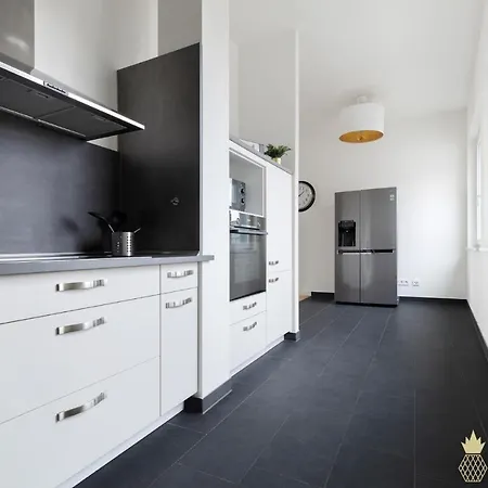 Pineapple Penthouse Am Zwinger - 162 Qm - 1x Free Parking * Drezno