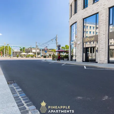 Pineapple Penthouse Am Zwinger - 162 Qm - 1x Free Parking Apartament Drezno