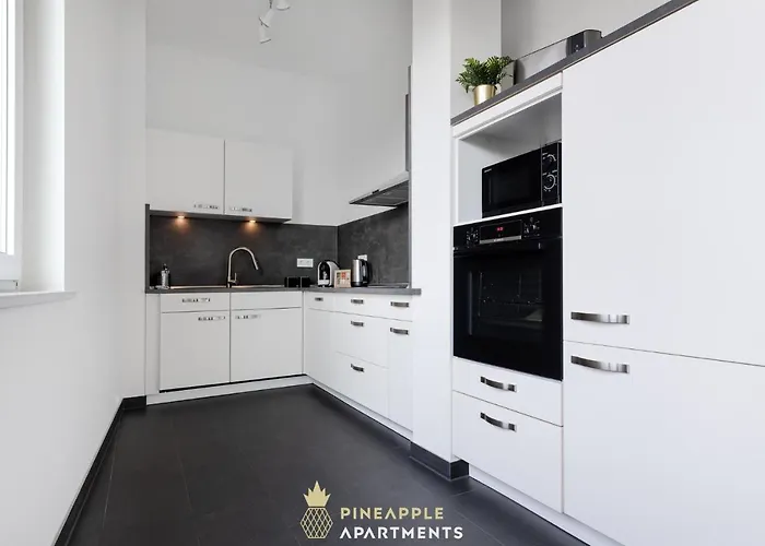 Apartman Pineapple - Penthouse Am Zwinger - 162qm - 1x Free Parking *