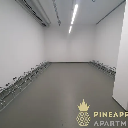 Διαμέρισμα Pineapple - Penthouse Am Zwinger - 162qm - 1x Free Parking
