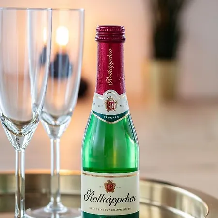 Pineapple - Penthouse Am Zwinger - 162qm - 1x Free Parking شقة *